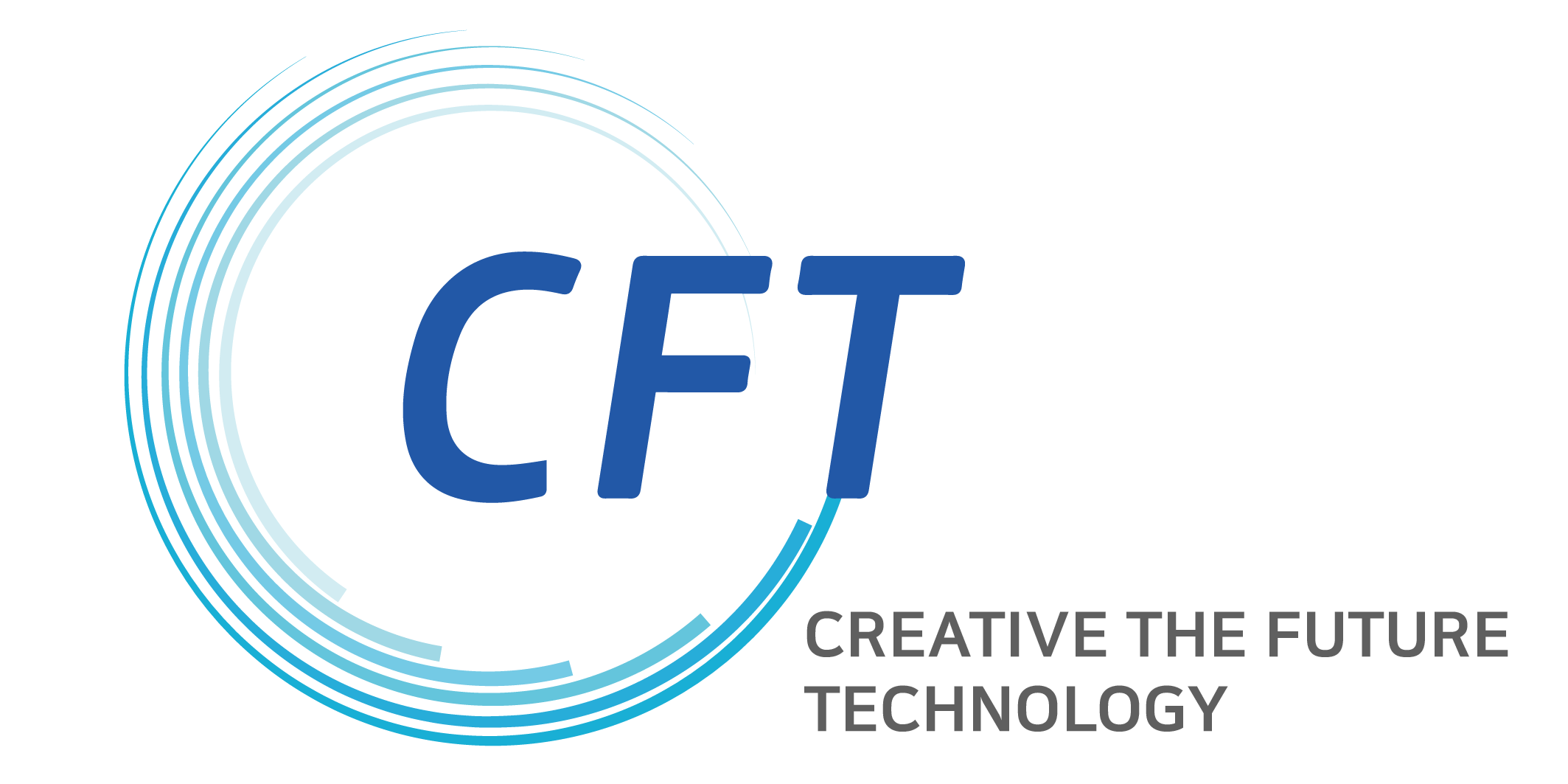 씨에프티 유한책임회사